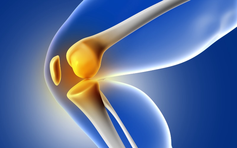 Meniscus Injuries